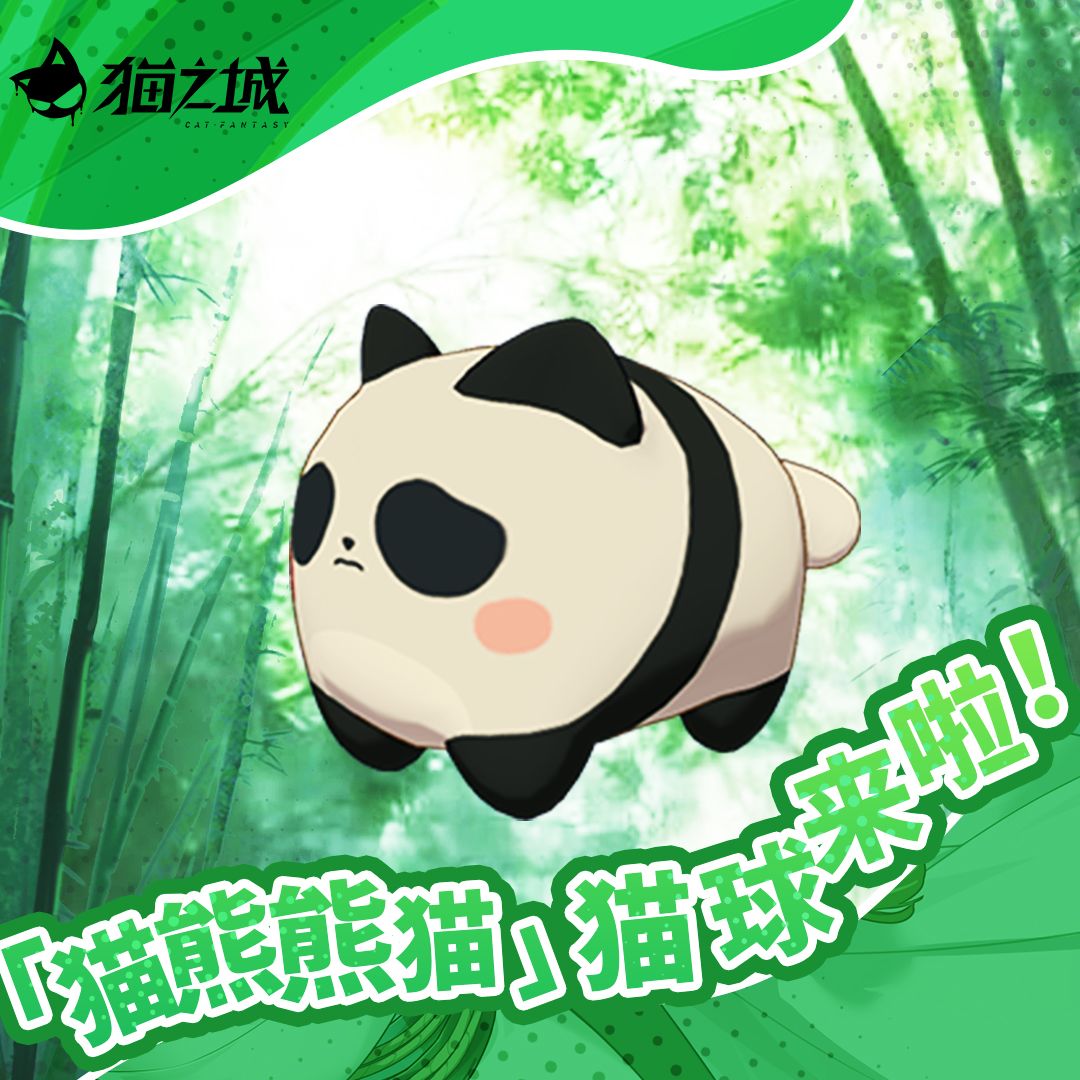 🐼熊猫猫球来啦! 1