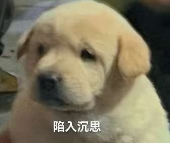 今天的副本怎么老是掉截图