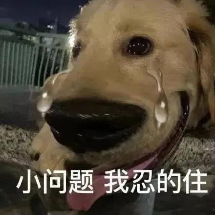 关于新区 1