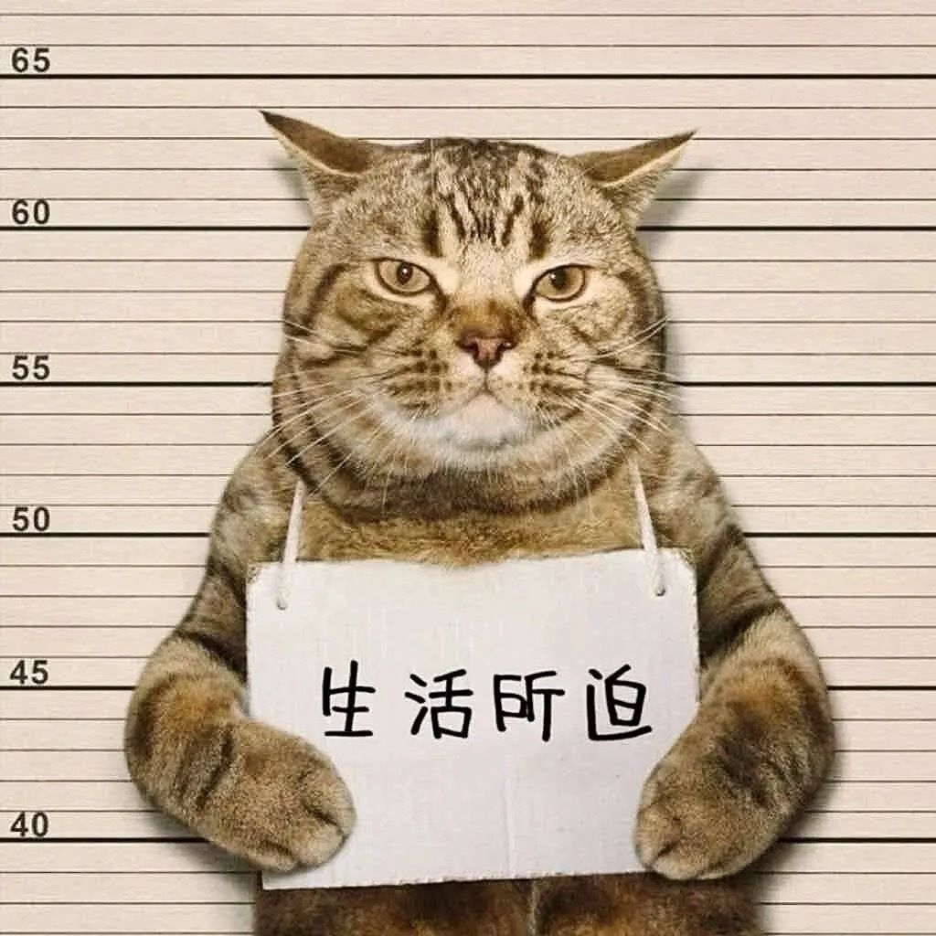 宝藏游戏又又又送皮肤啦 1