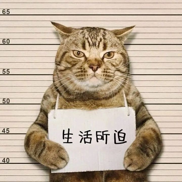 宝藏游戏又又又送皮肤啦截图