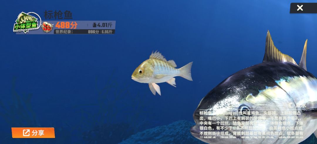 动态图片 3