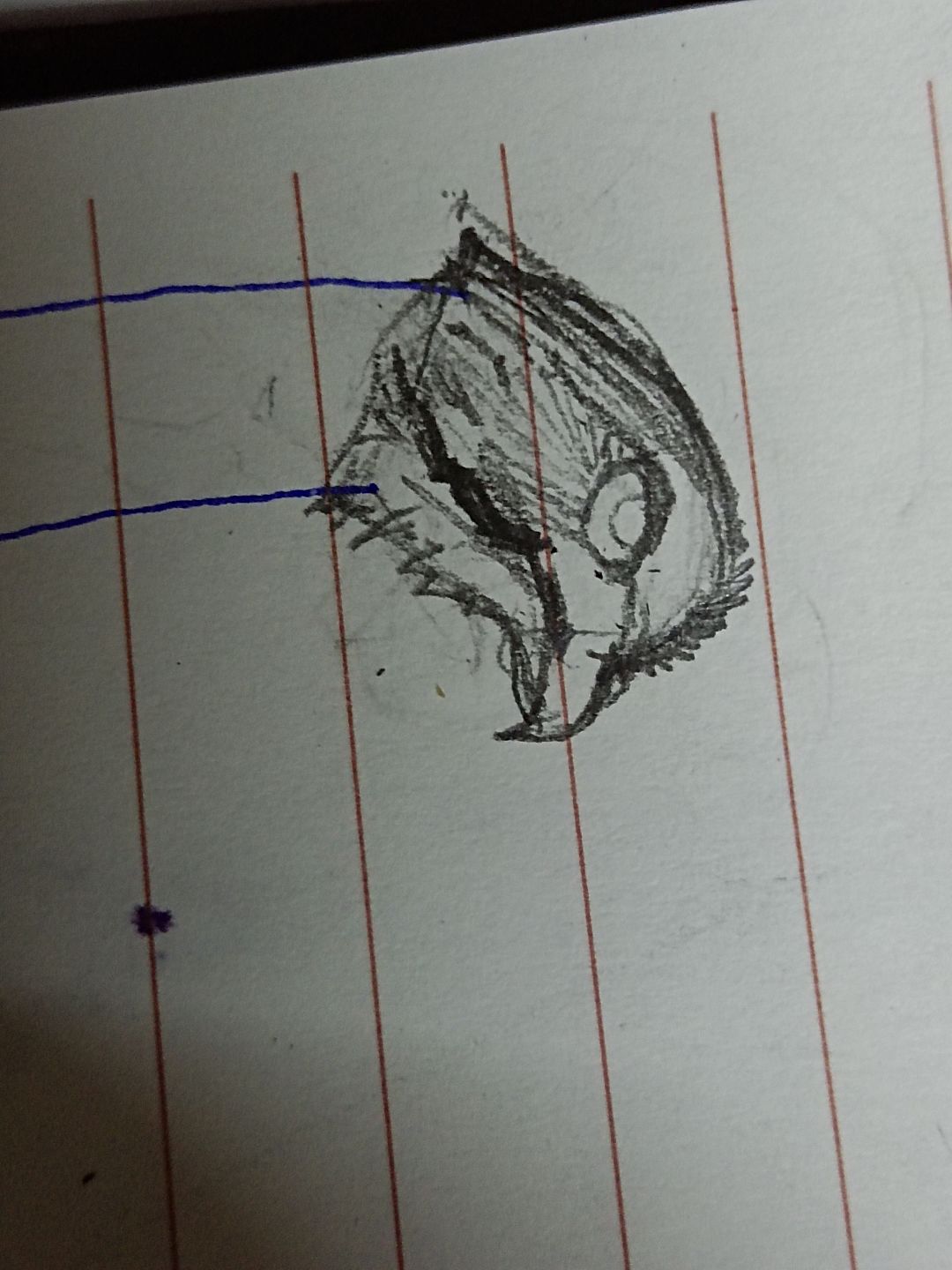 藏腰刀柄设计了鹰头, 1