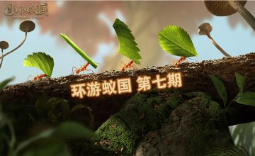 【环游蚁国】蚁国一家亲