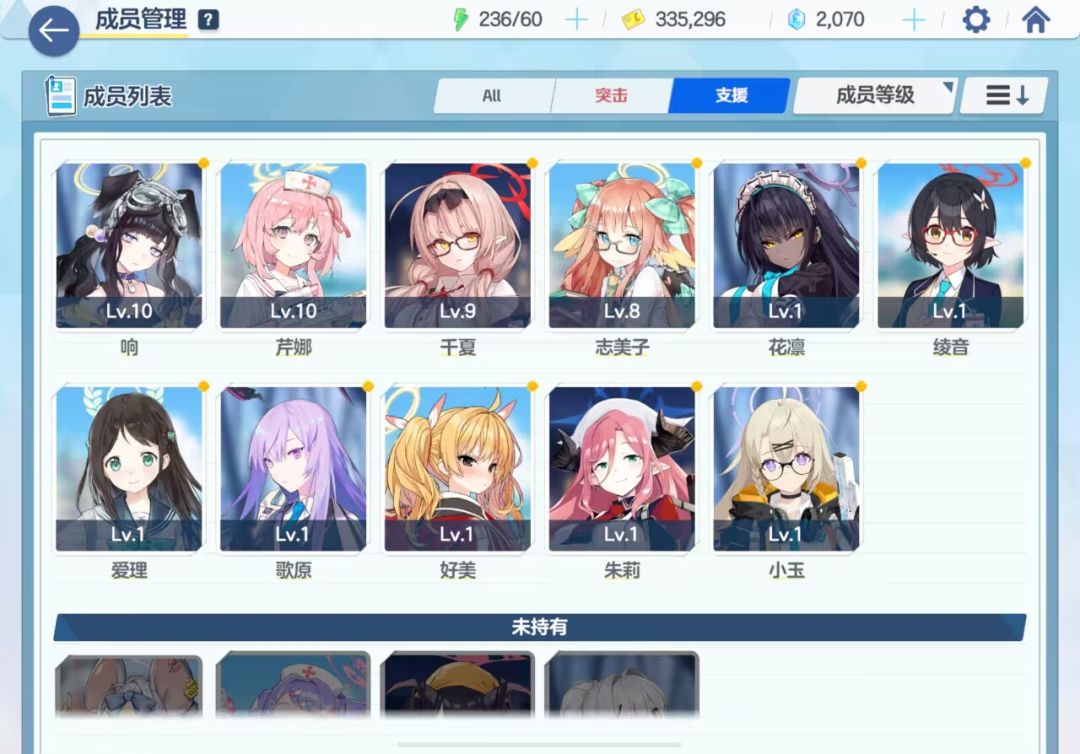 大佬们怎么配队啊 2