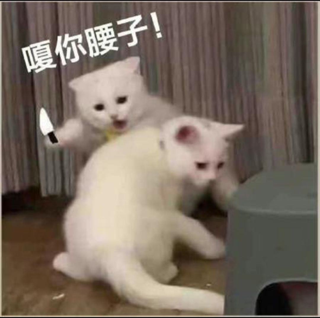 口阿？ 2