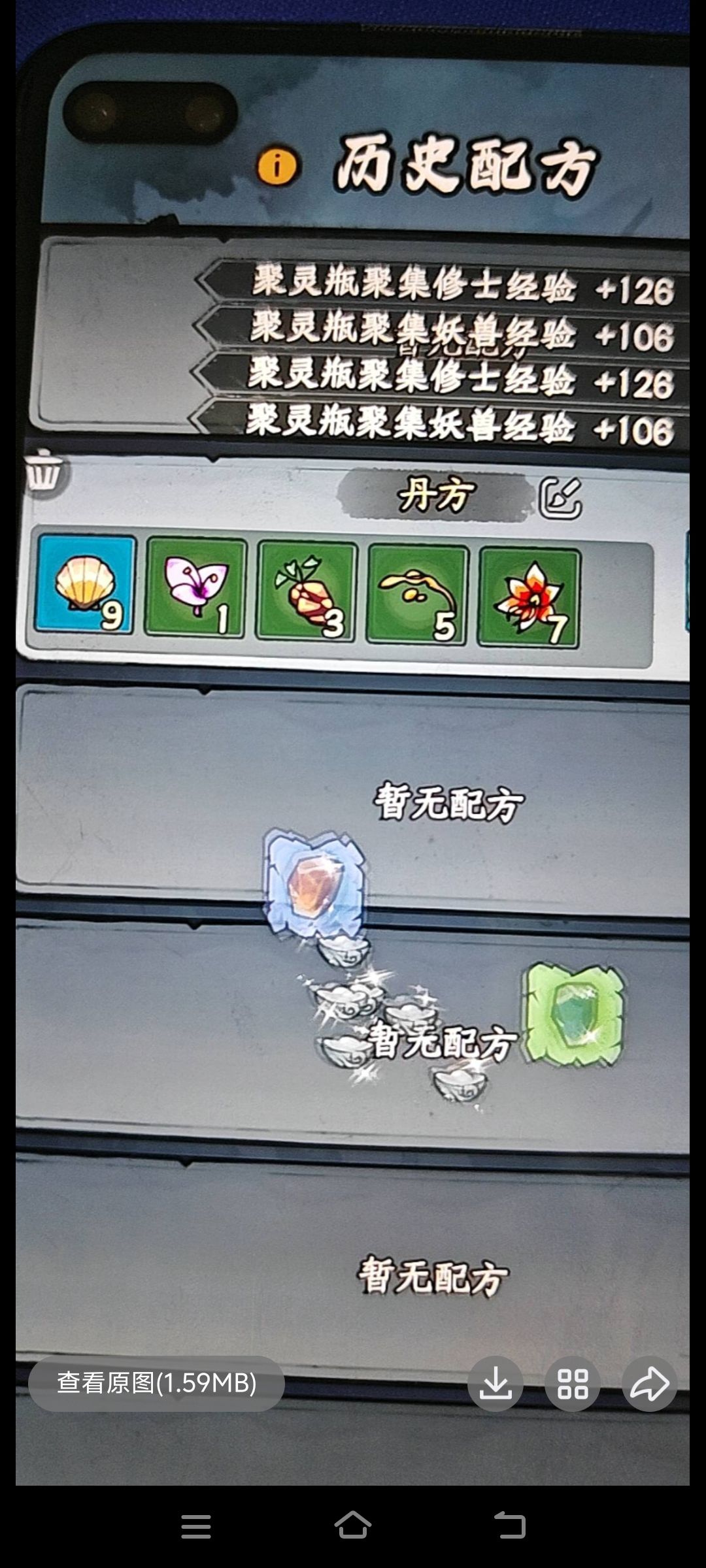 丹道盛会 2