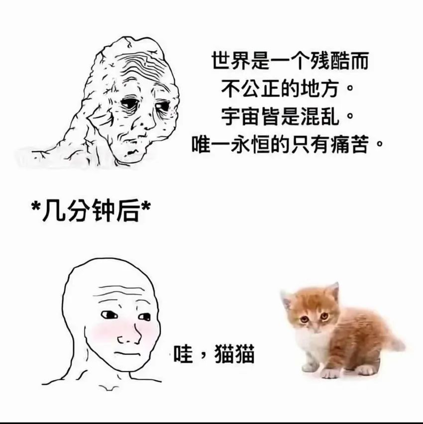 ✨今日份梗图分享第六期✨ 1