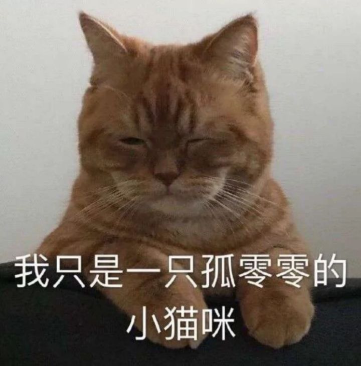 来两渠道的周车 救救孩子吧截图