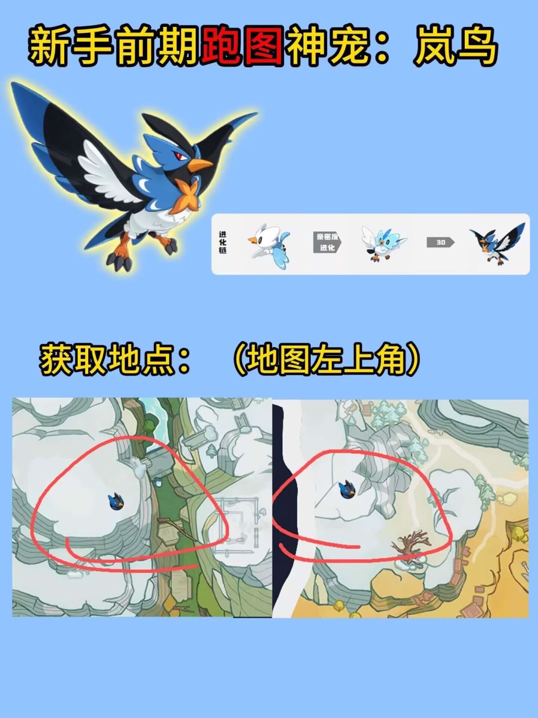 开局新攻略,少走弯路 5