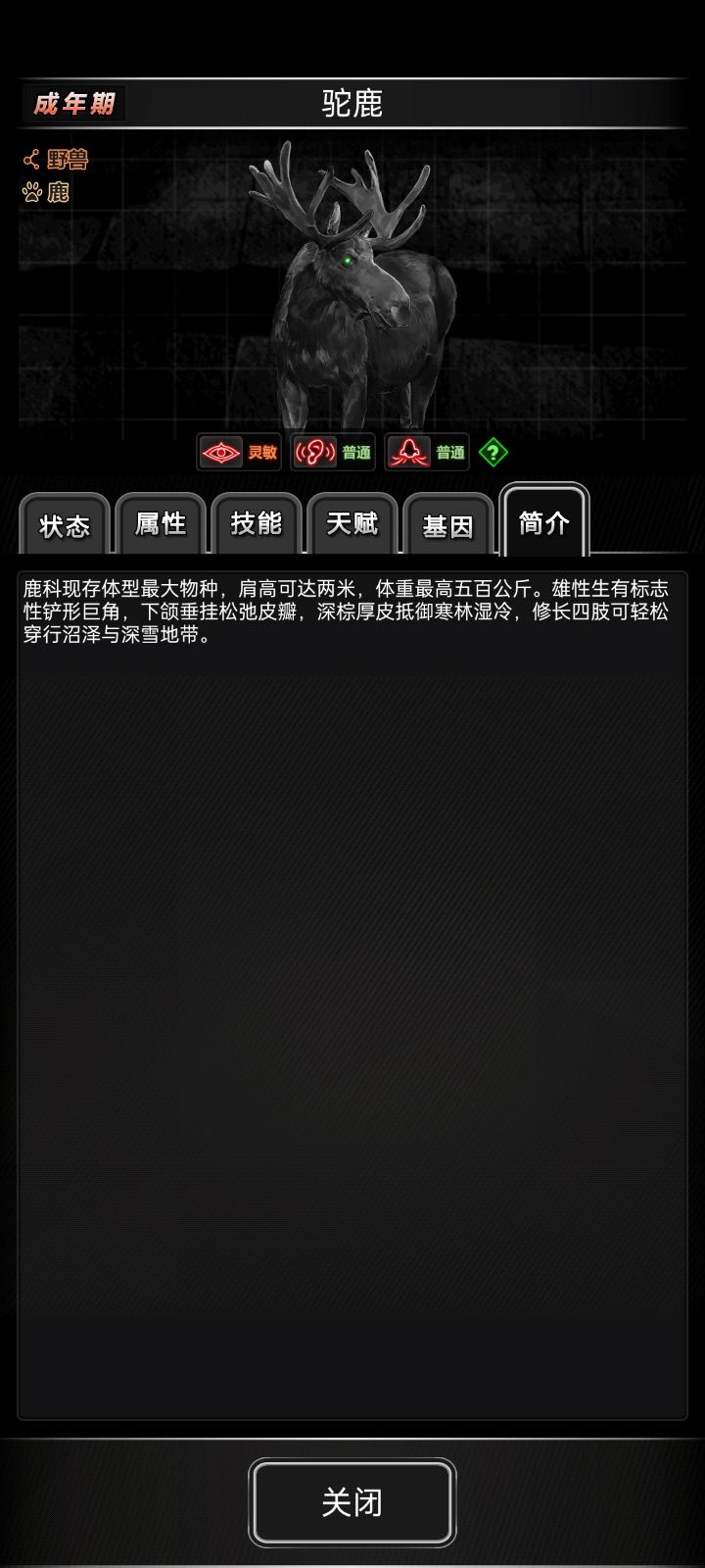 发几个动物吧 1