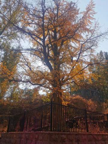 这游戏太难了，能不能下调成《当代人生》的难度