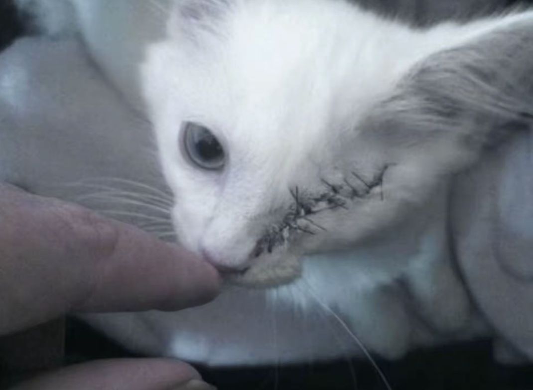 旧时代已经漠落了吗? 1