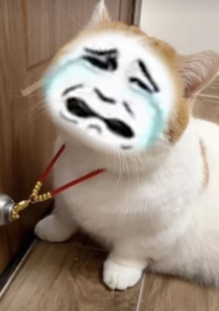 真烦，更了什么，家园的白色烟雾变成黑色，萤光那个变绿，我家园里面用了很多烟雾和荧光，而且都是叠加的，改的好烦。截图