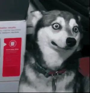你们不觉得一年出一个星球很恐怖吗? 1