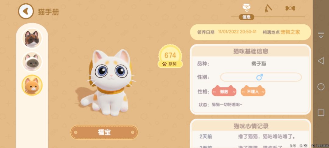 想念我的喵喵们😭 3