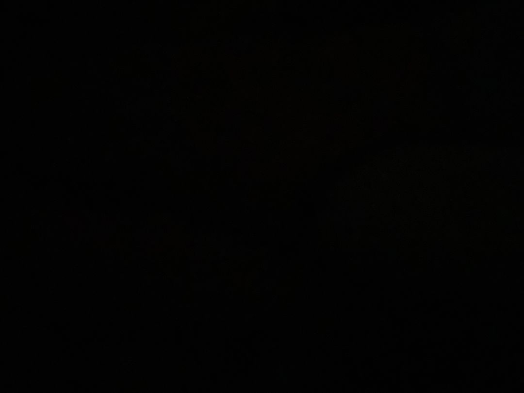 动态图片 7
