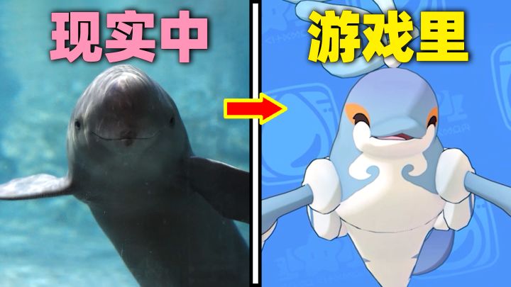 水中大熊猫?!《洛克王国》竟把濒危动物做进了游戏!截图