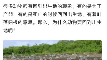 关于结局的猜想