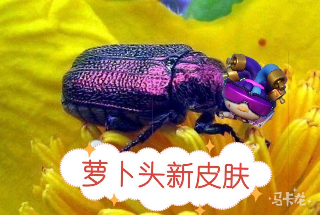 家人们,谁懂啊😂 2