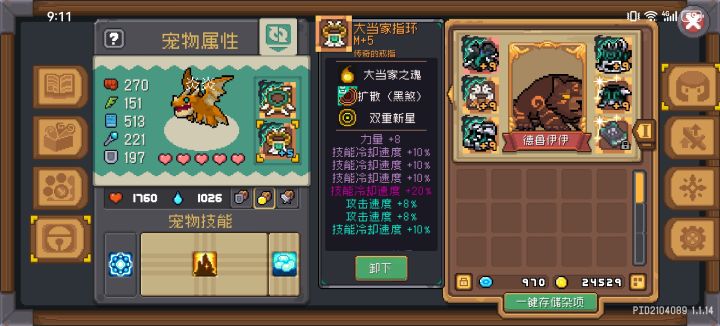 宠物装备传家宝截图