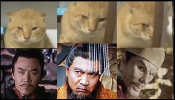 陆曹长确实要加强了