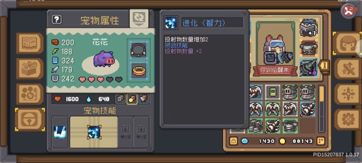 飞盾流宠物带啥技能截图
