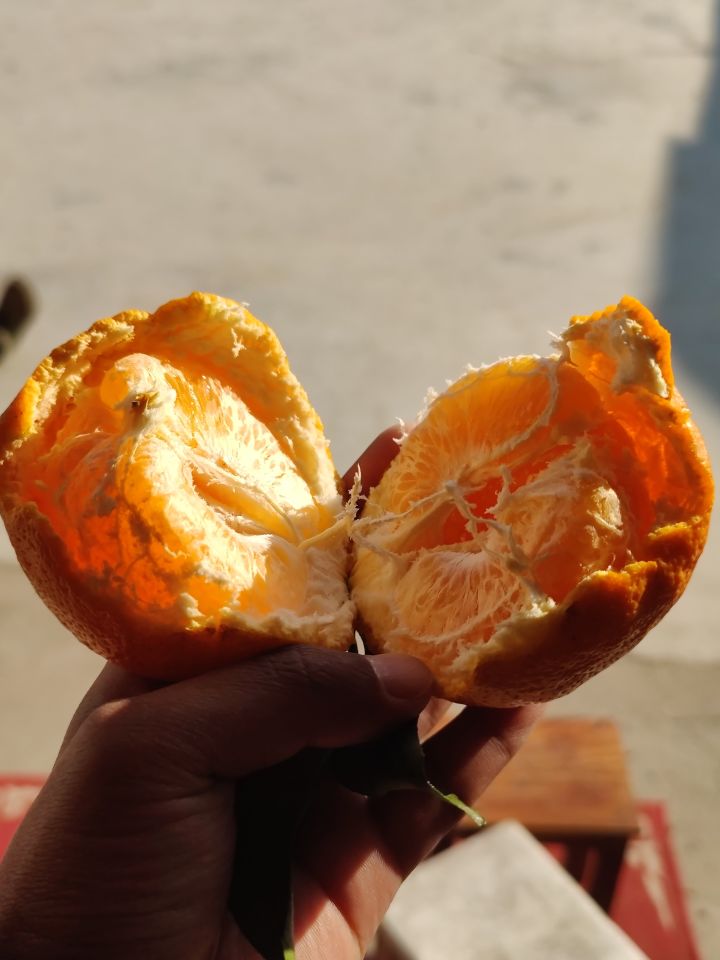我想玩竖版的，作者能做吗？截图