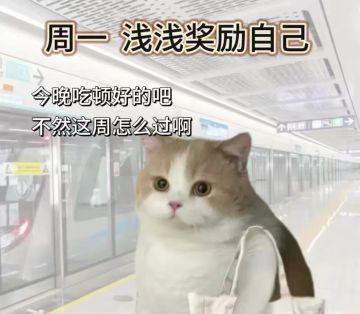周一福利持续派送中～请勿错过