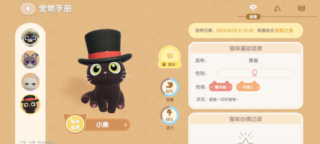 晒一晒我家猫猫 1