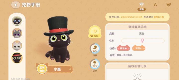 晒一晒我家猫猫截图