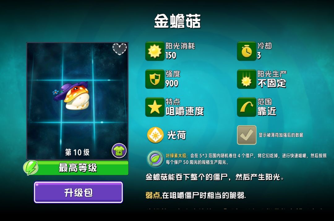 金蟾菇 1