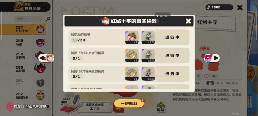 不到二十异色兔 2