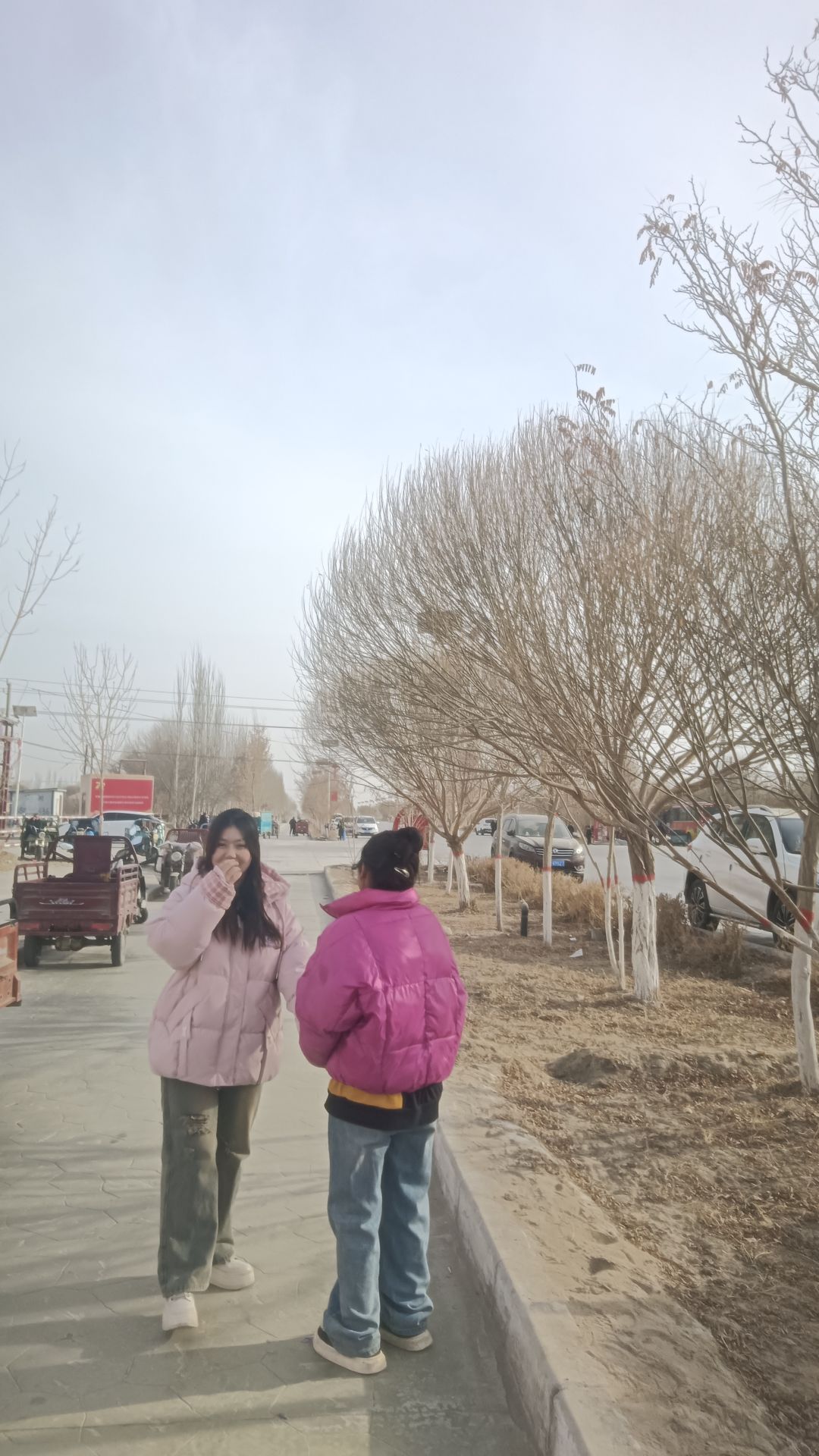 动态图片 17