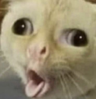 995995 1
