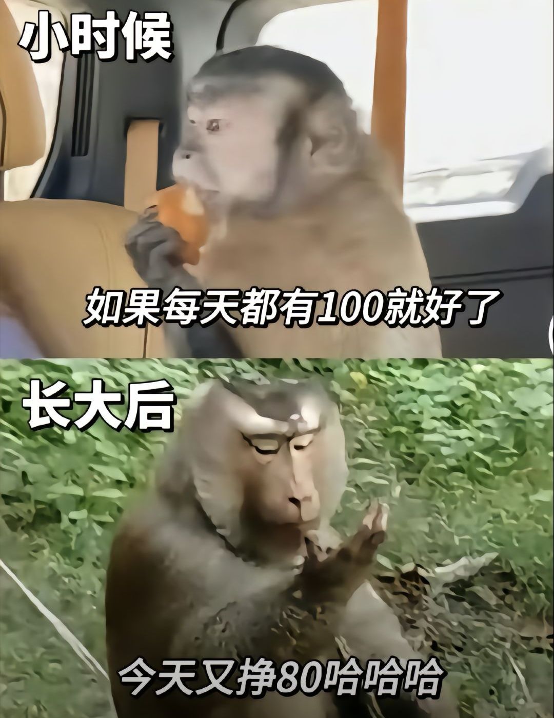 老友回归活动多久后会消失? 1