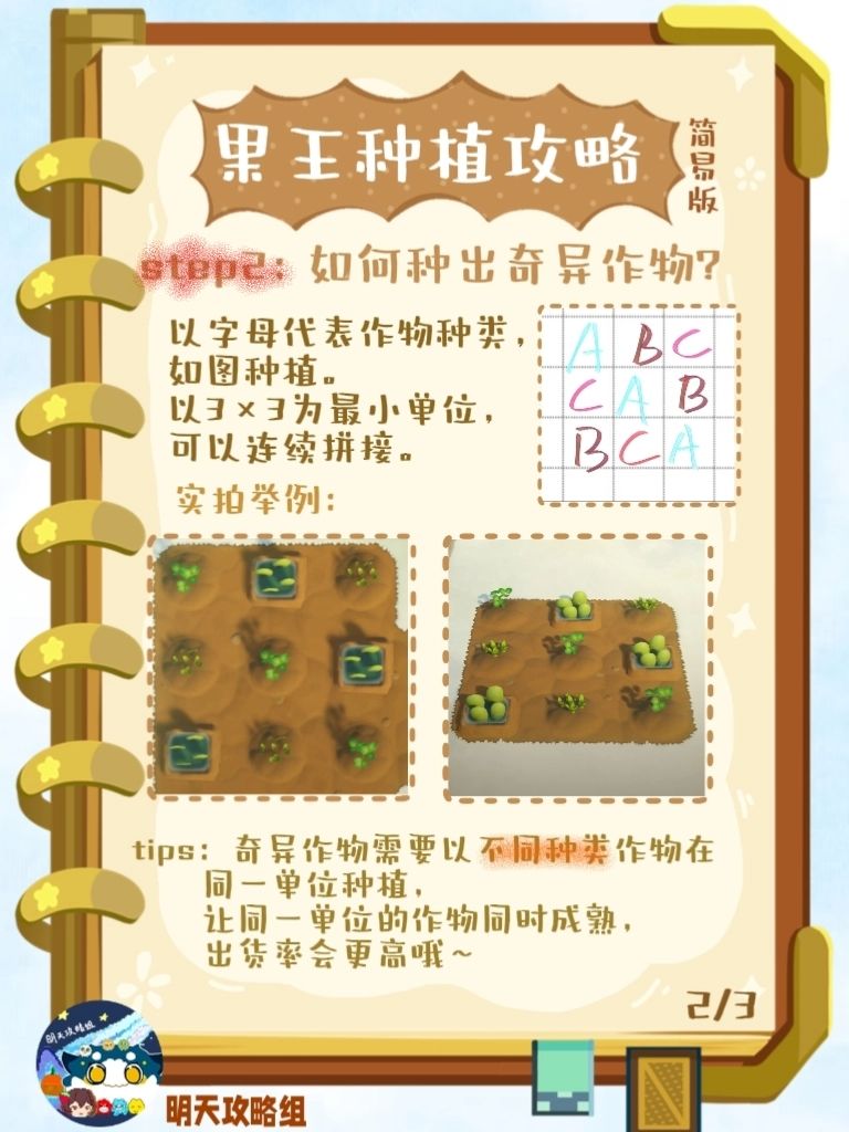 星布谷地连接测试-种植攻略(果王种植篇) 2