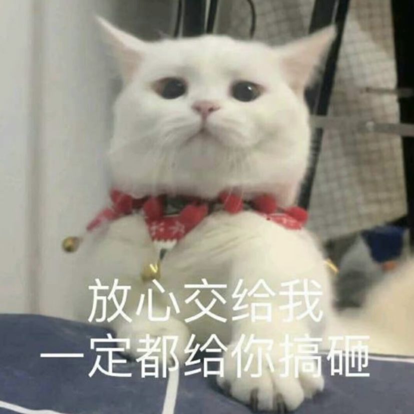 要不咋说你柳生笨呢,减负都不会减 1