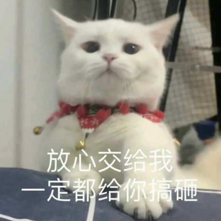 要不咋说你柳生笨呢,减负都不会减截图