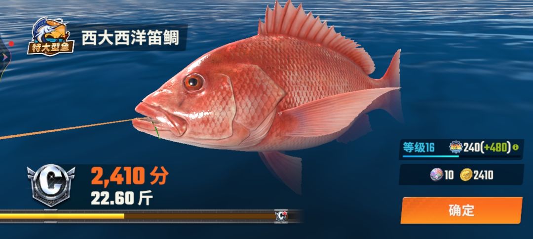 Ok 6
