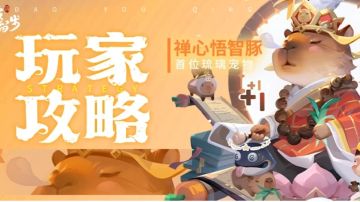 琉璃宠物·禅心悟智豚测评