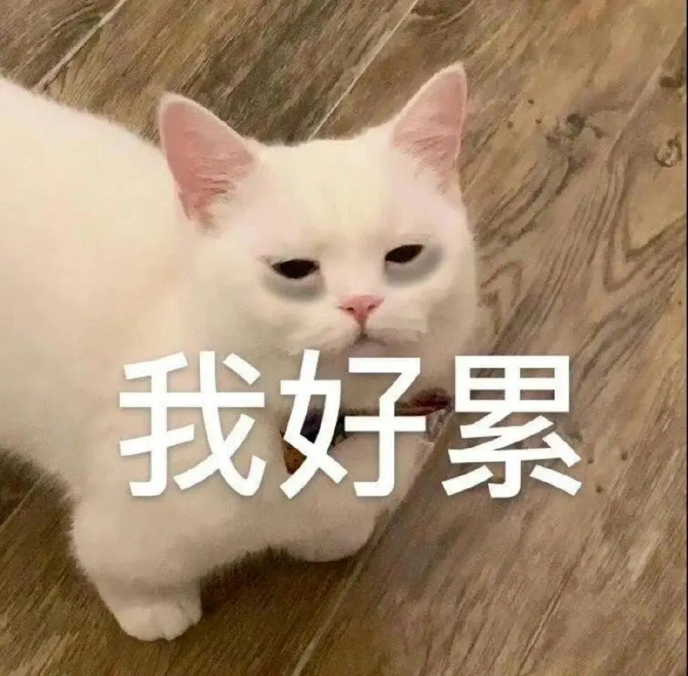 有没有氪佬留个UID 1