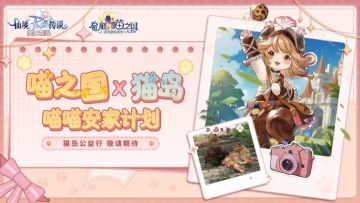 喵之国×猫岛 | 加入喵喵安家计划，流浪猫公益活动本周日行动