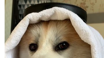 2022版新手开局真实体验，助你少走弯路