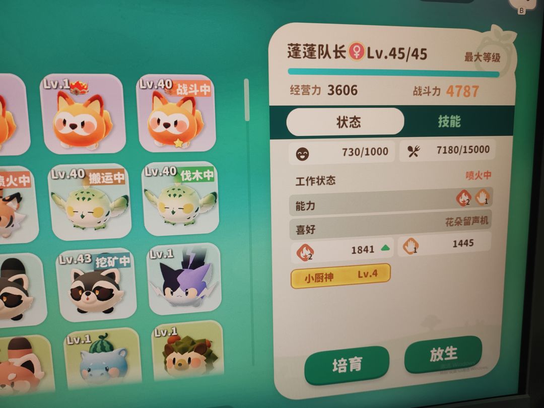 动态图片 6