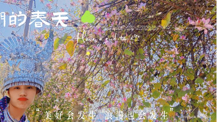 终于入门萌新了截图