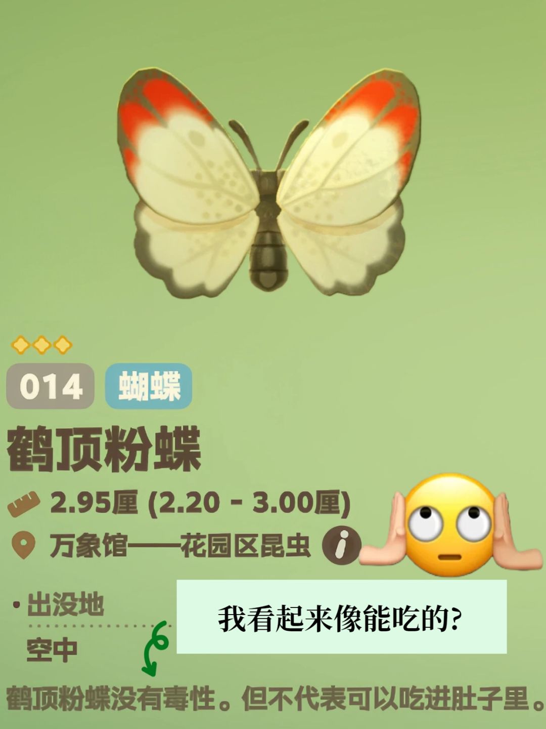 知识以奇怪的方式进入脑子 8