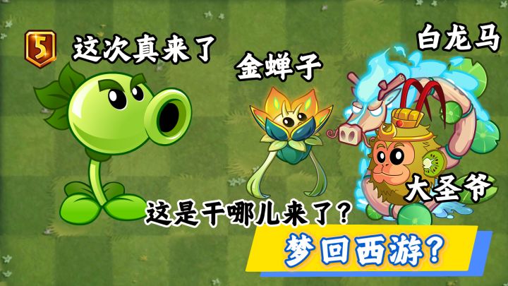 童年回忆秦始皇陵回归,4阶村长也即将卸任,双重射手5阶来临!截图