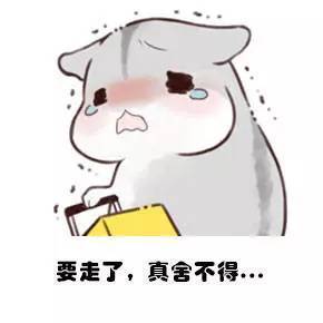 终究是退了 2