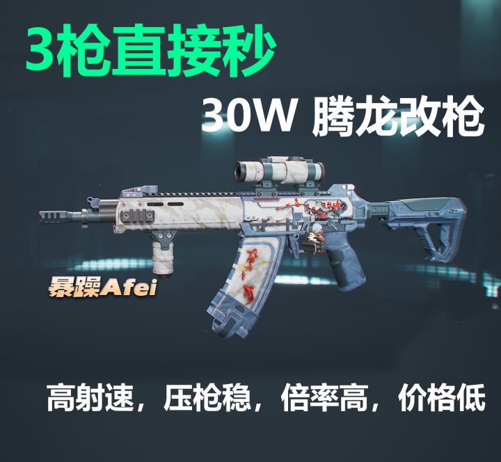 【烽火地带】仅需二十八万拥有高射速融化敌人的腾龙突击步枪截图